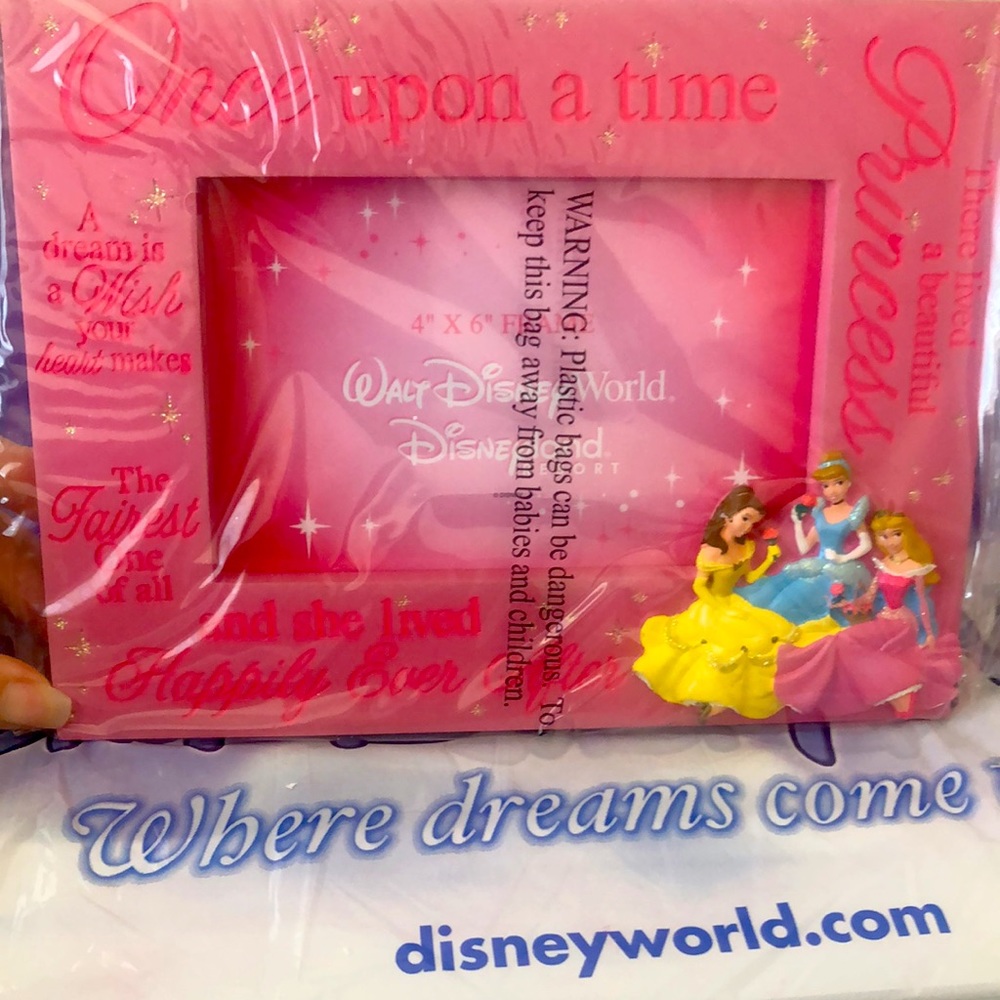 Disney world princess picture frame